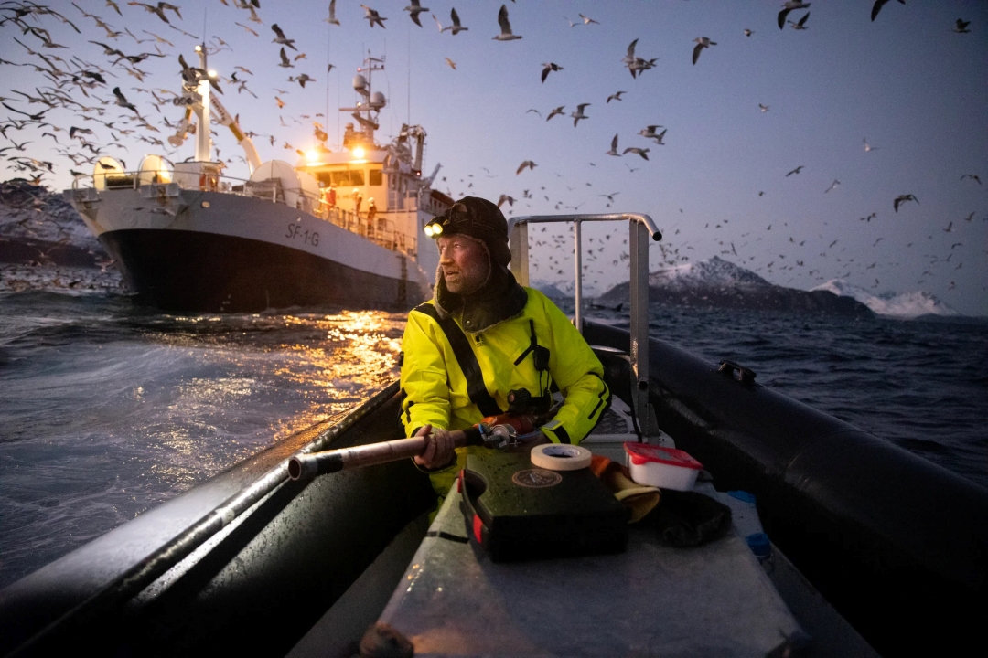 Биолог Аудун Рикардсен на севере Норвегии