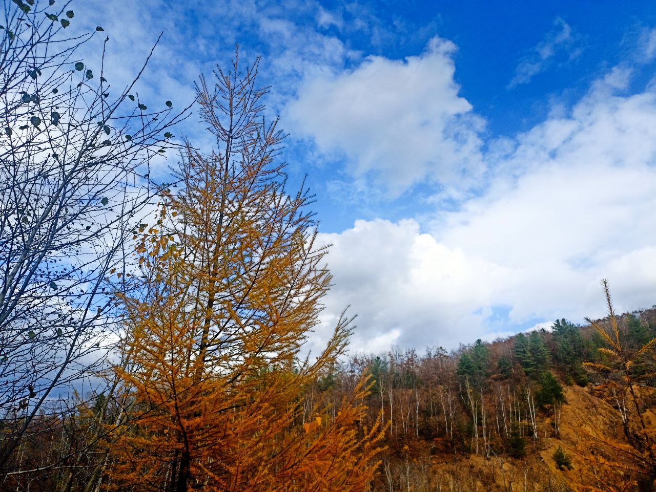 Фото: РБК Приморье