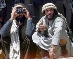 ЦРУ: В Афганистане грядет новая гражданская война