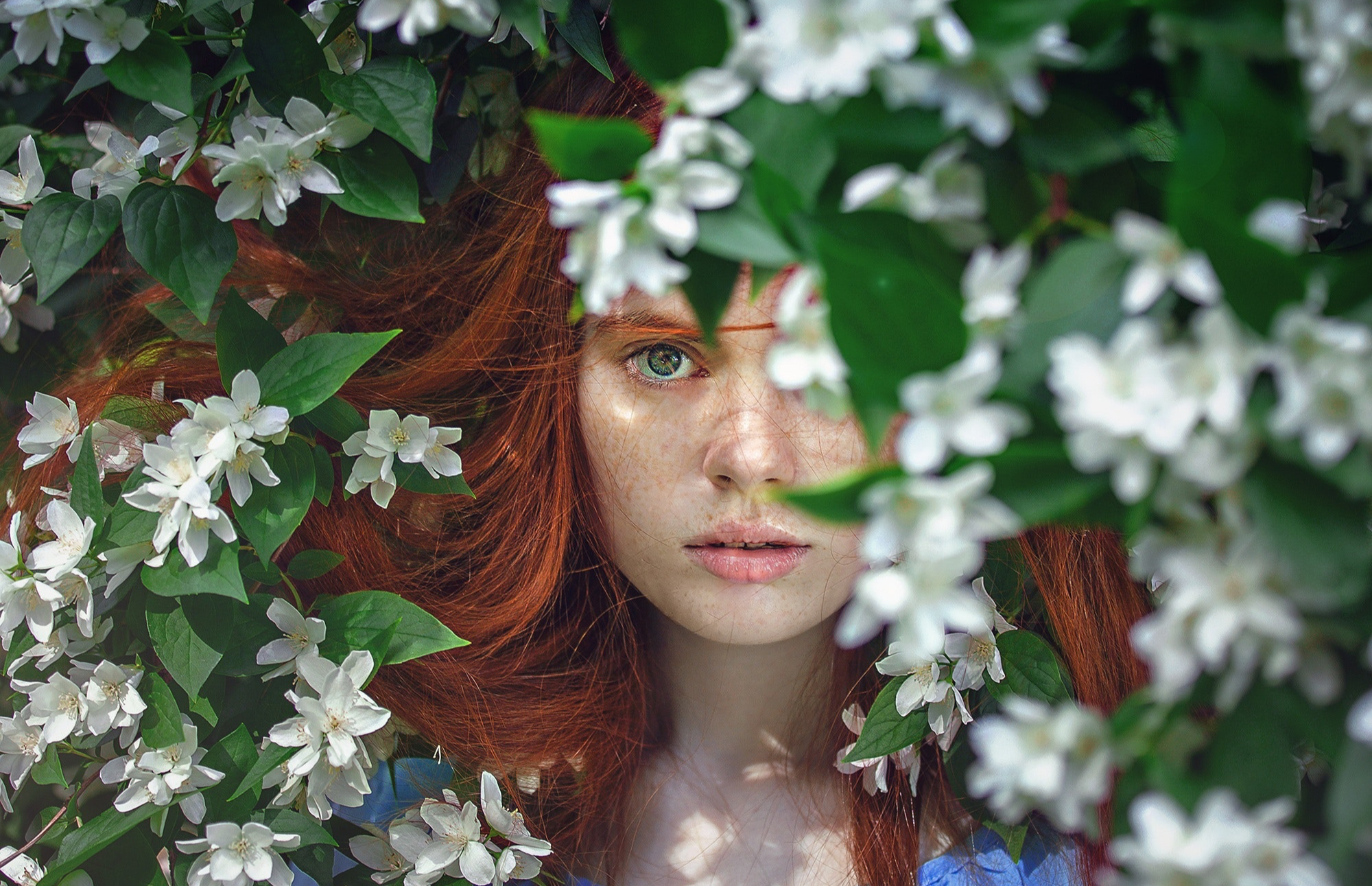 Правда о рыжих волосах фото | arnoldrak-spb.ru