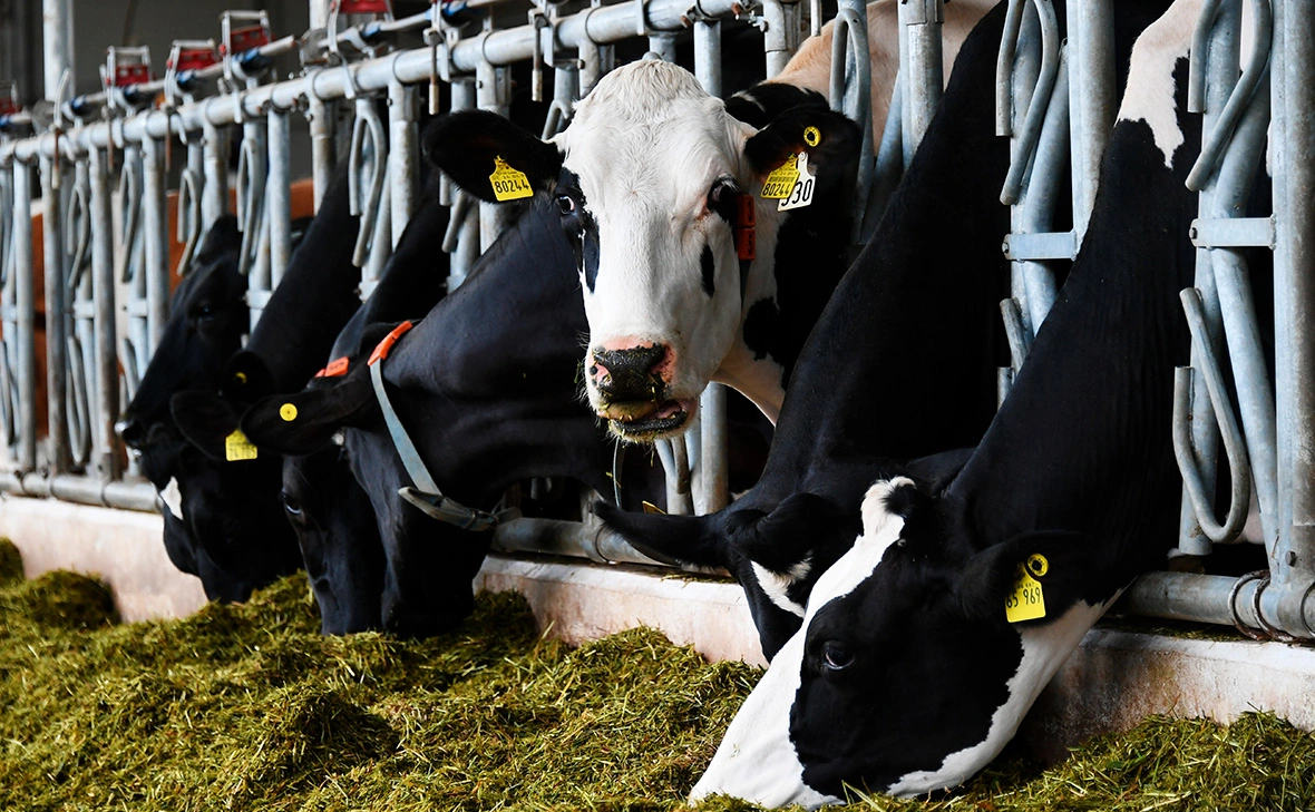 Максим Блинов / РИА Новости