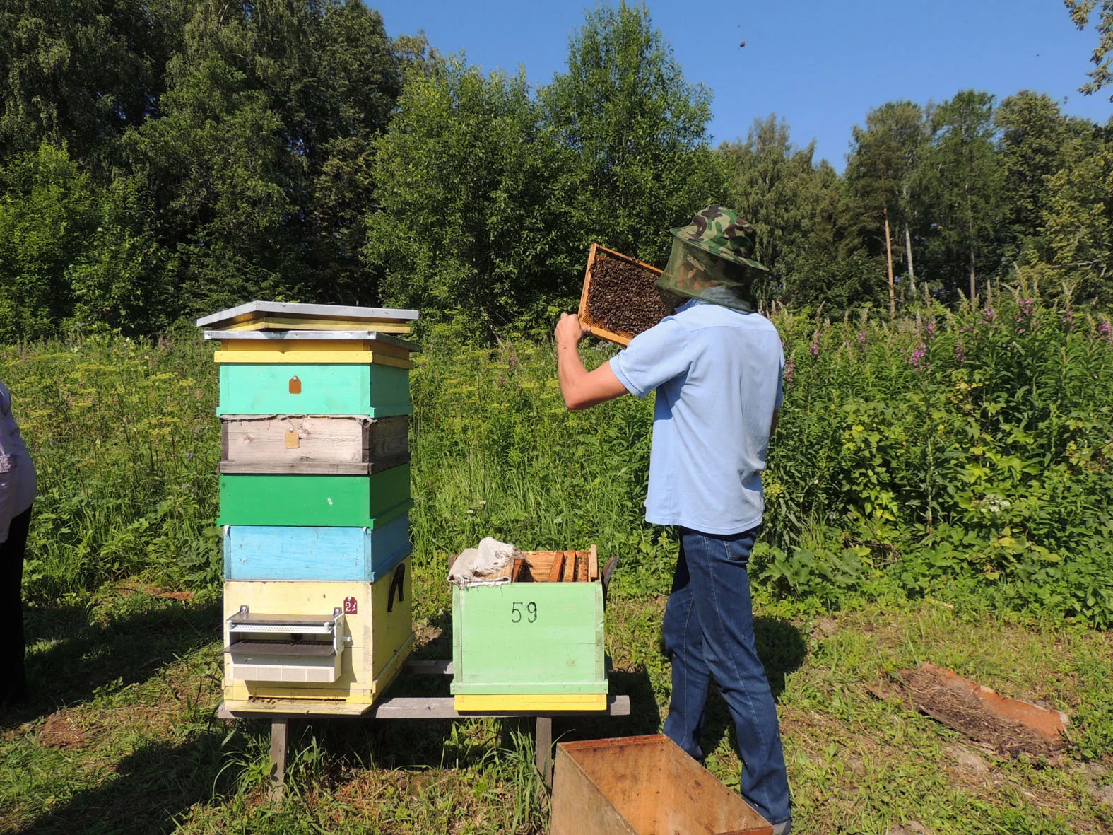 Газета «Маяк»
