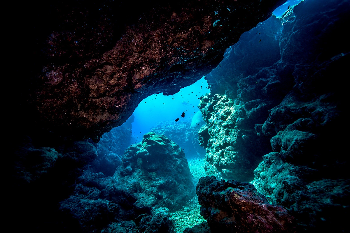 На дне Тихого океана нашли производящие кислород загадочные образования