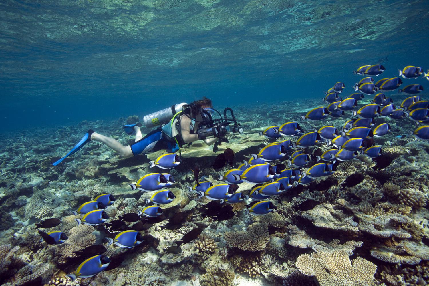 Фото: пресс-служба Dhawa Ihuru