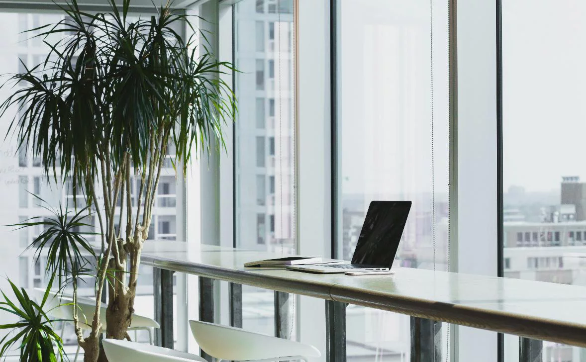 Alesia Kazantceva / Unsplash