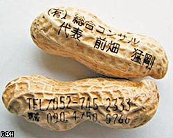 Японцы превращают рис и орехи в визитные карточки