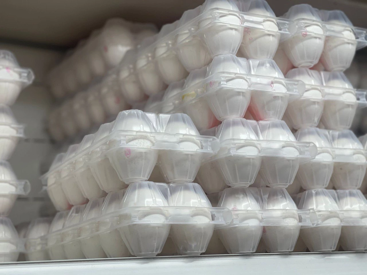 РБК Приморье