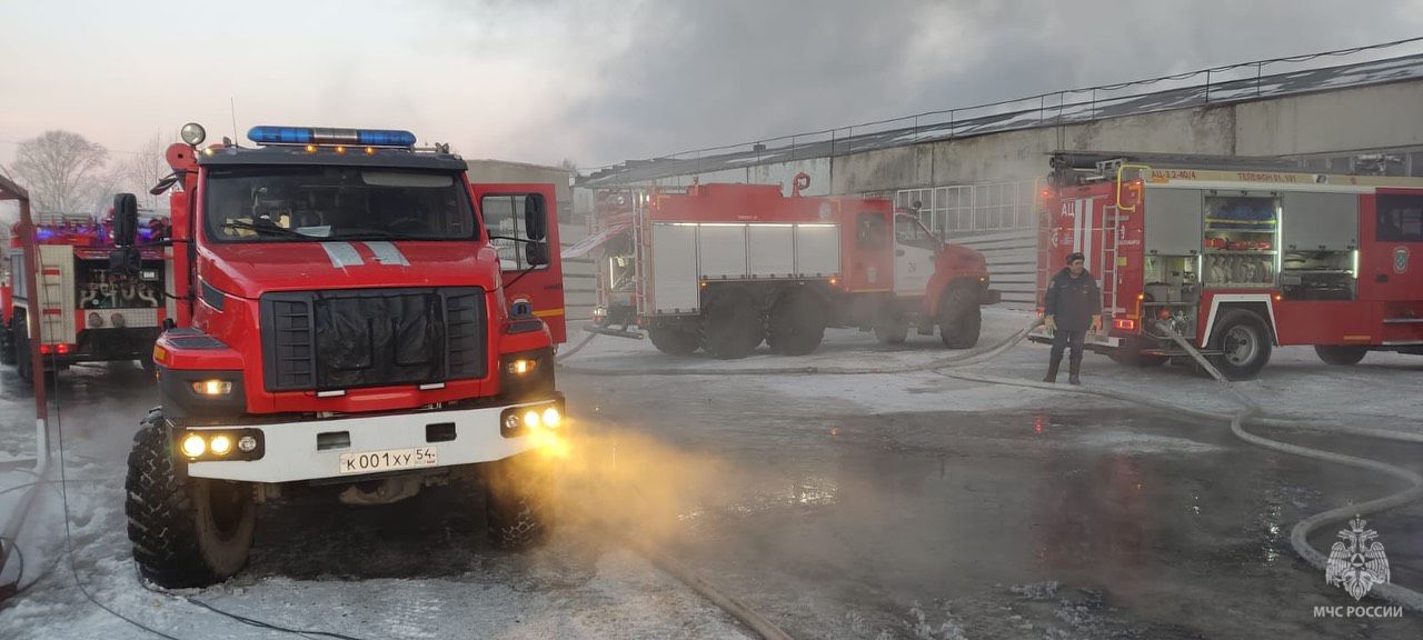 Фото: пресс-служба ГУ МЧС по Новосибирской области