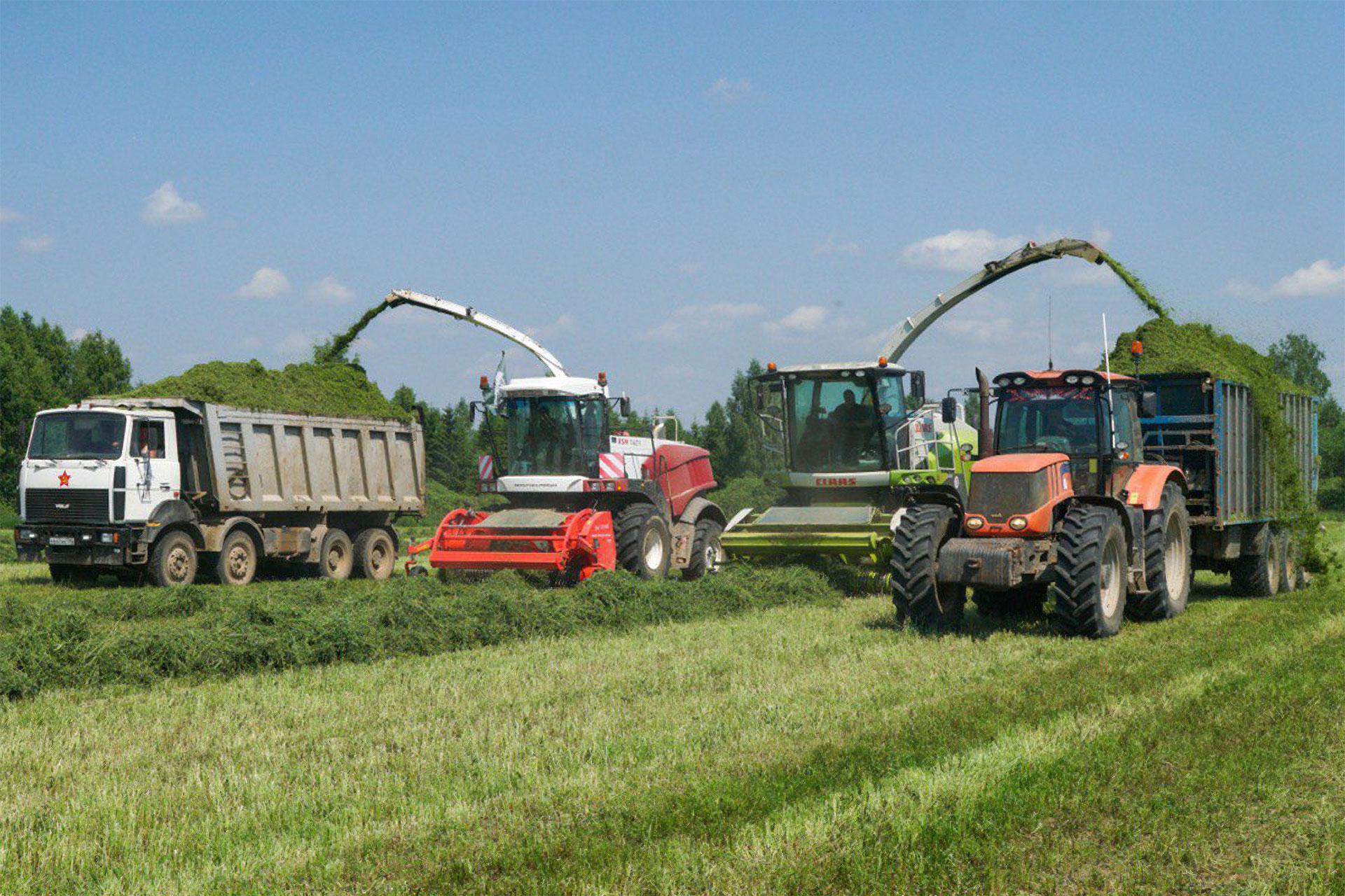 Фото: ПРЕСС-СЛУЖБА «CHALET RIVER CLUB»