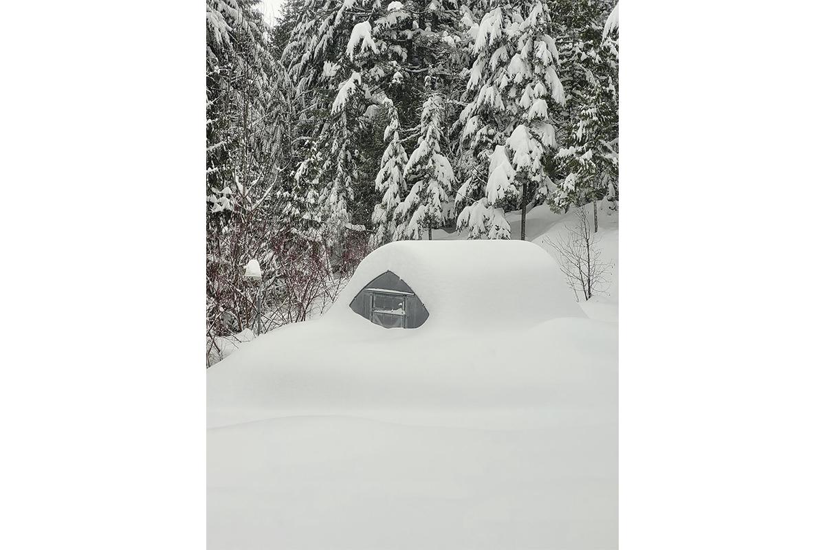 Снегопад в Подмосковье, 27 января 2026 года