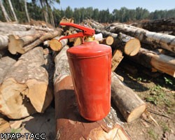 Общественная палата проведет заседание по вопросу Химкинского леса