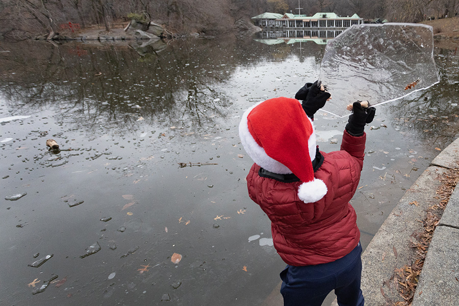 Нью-Йорк

Озеро в Центральном парке в Нью-Йорке замерзло в начале зимы