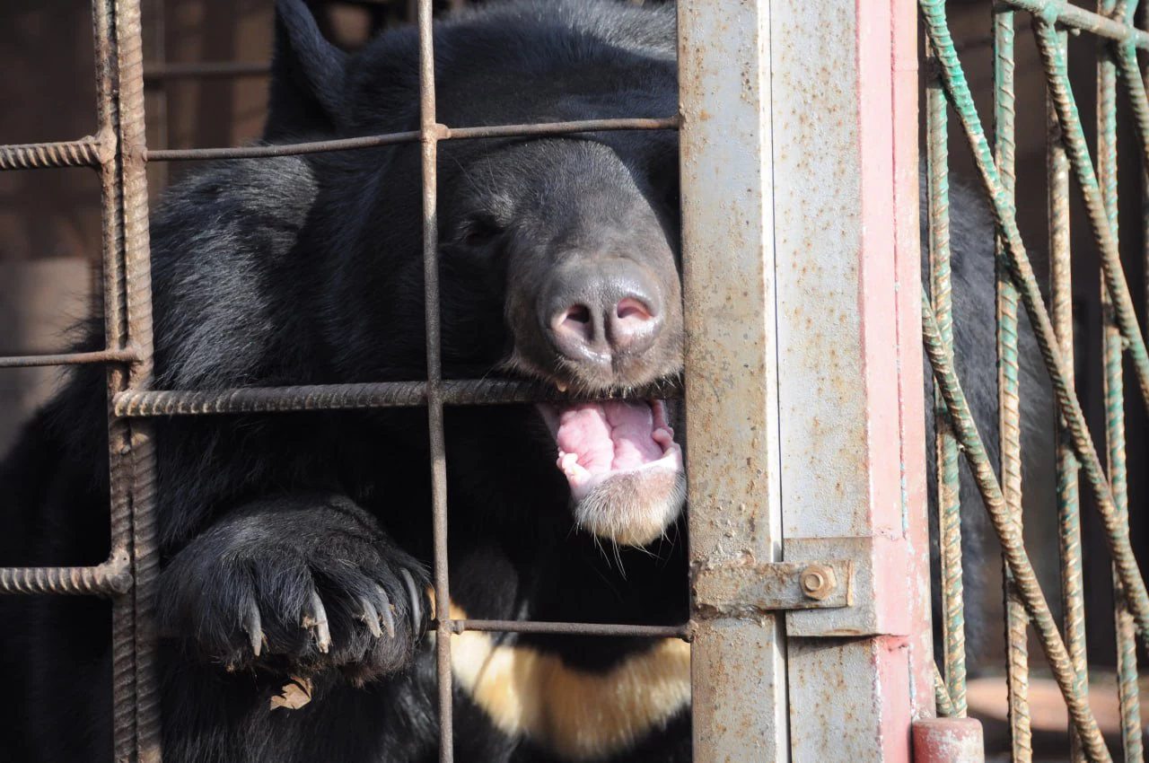 РБК Приморье 