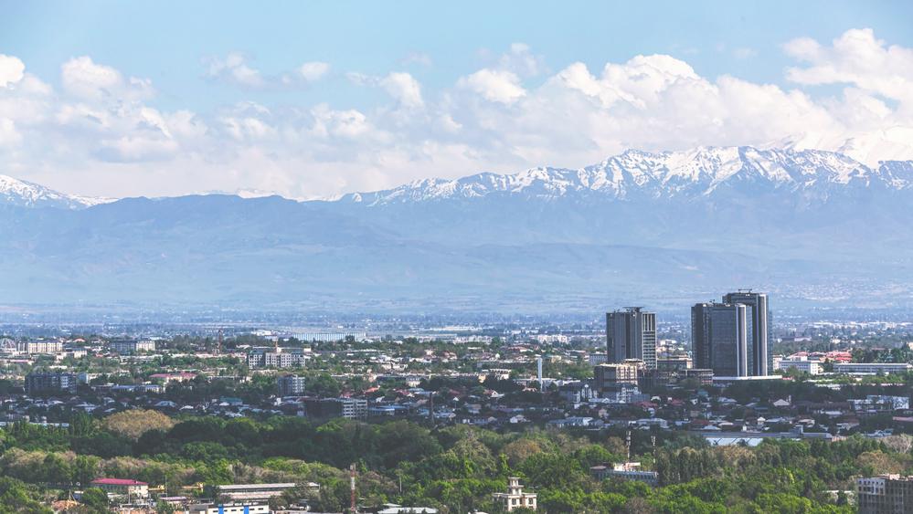 Панорамный вид Ташкента
