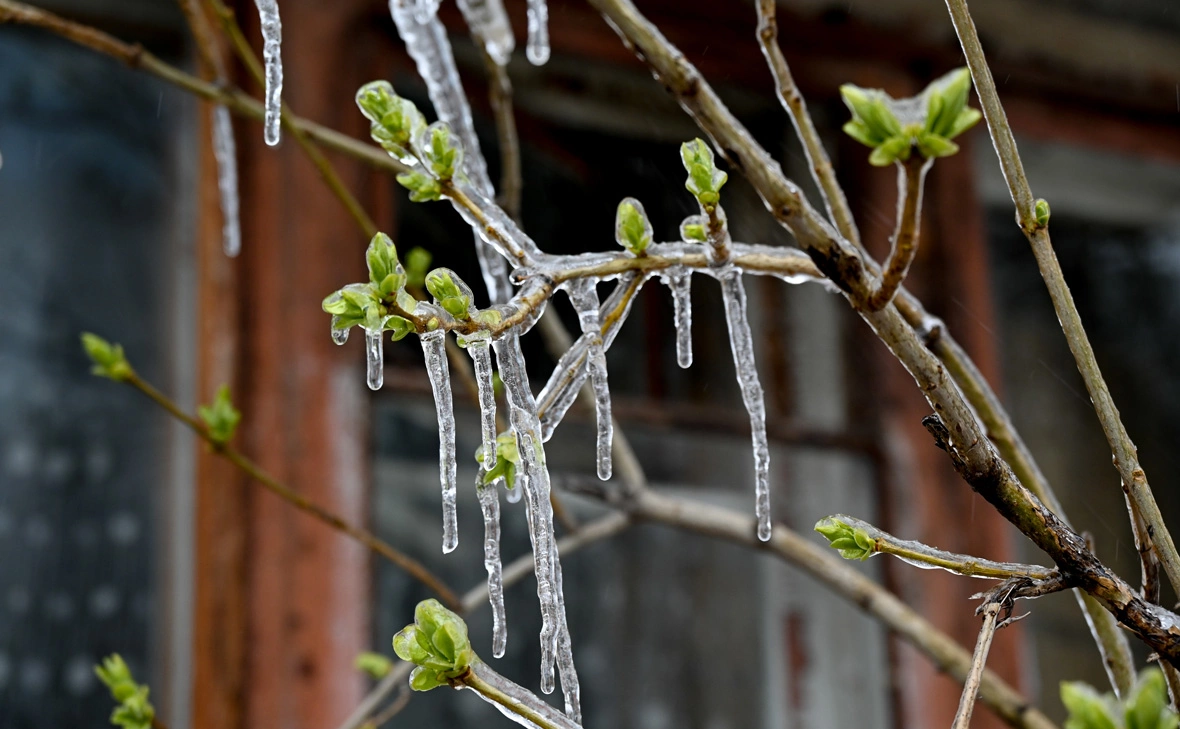 Александр Казаков / ТАСС