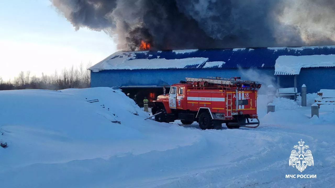 пресс-служба ГУ МЧС России по Новосибирской области