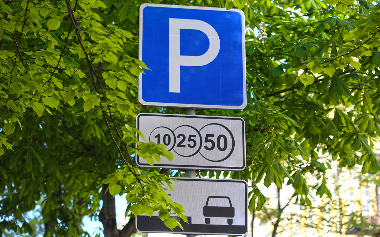 Фото: Arsenova.9 / Shutterstock / FOTODOM