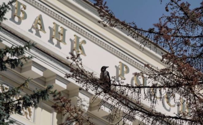 Михаил Гребенщиков / РБК