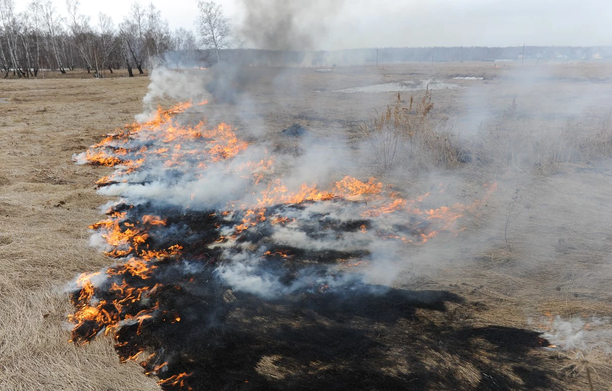 Вадим Ахметов / РИА URA.RU