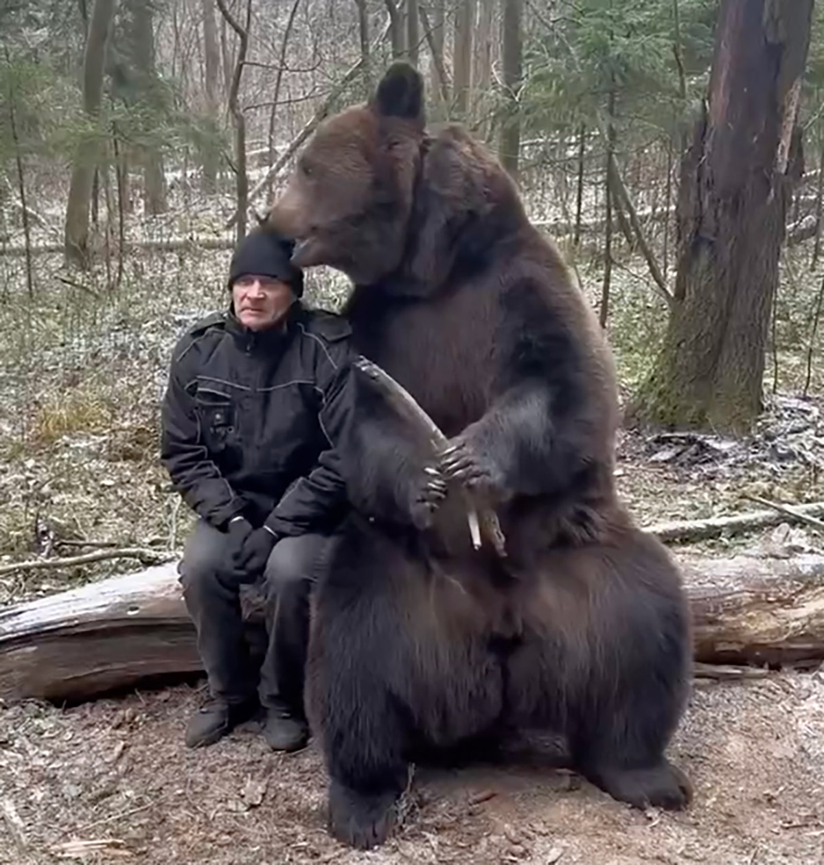 Кот Беляш и панда из зоопарка. 5 самых популярных животных 2023 года | РБК  Life