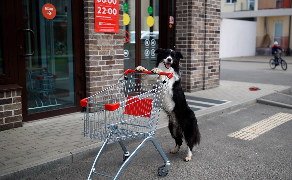 Виталий Тимкив / РИА Новости