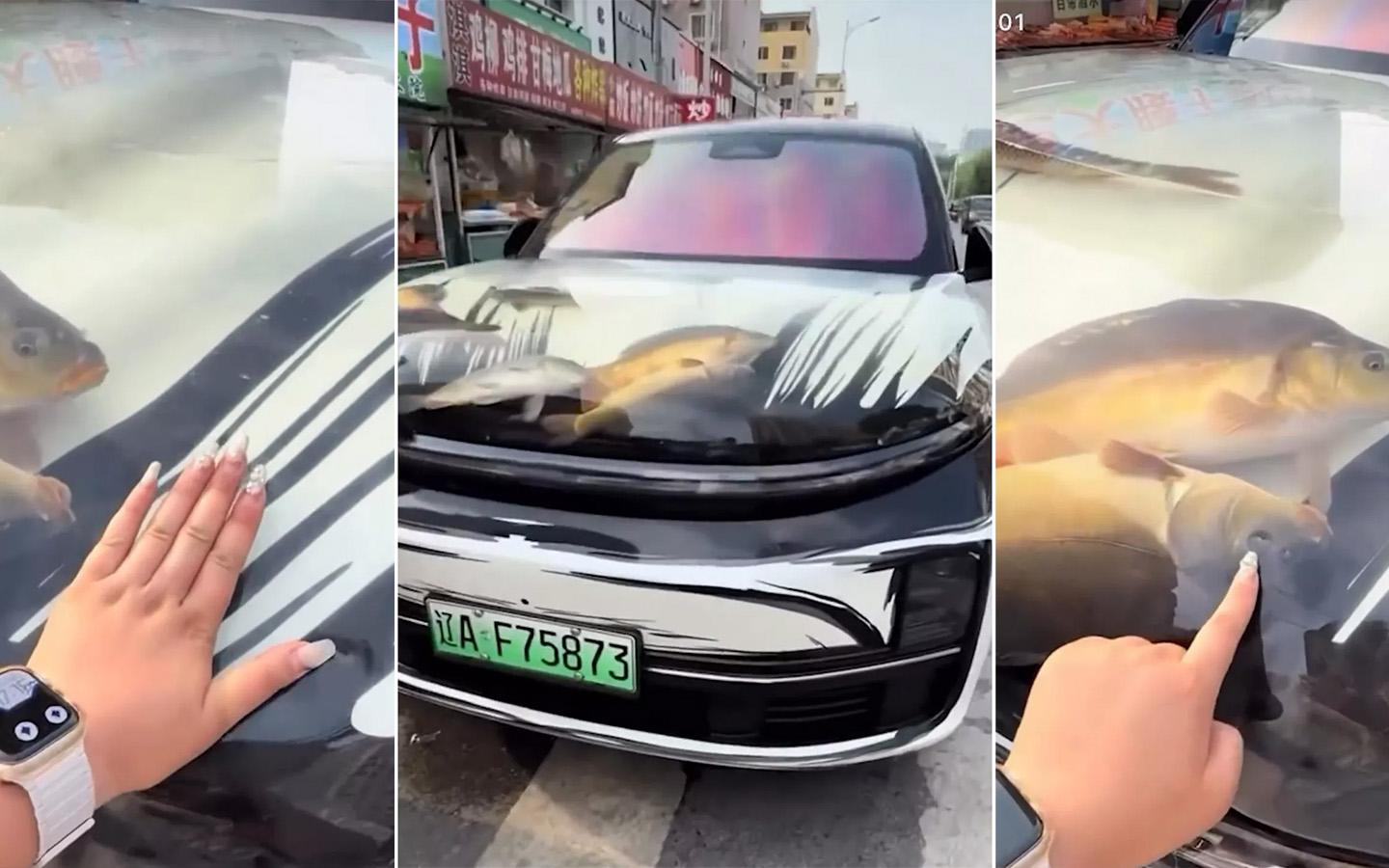 Китаец установил в свой Li Auto L9 аквариум с живыми рыбами. Видео