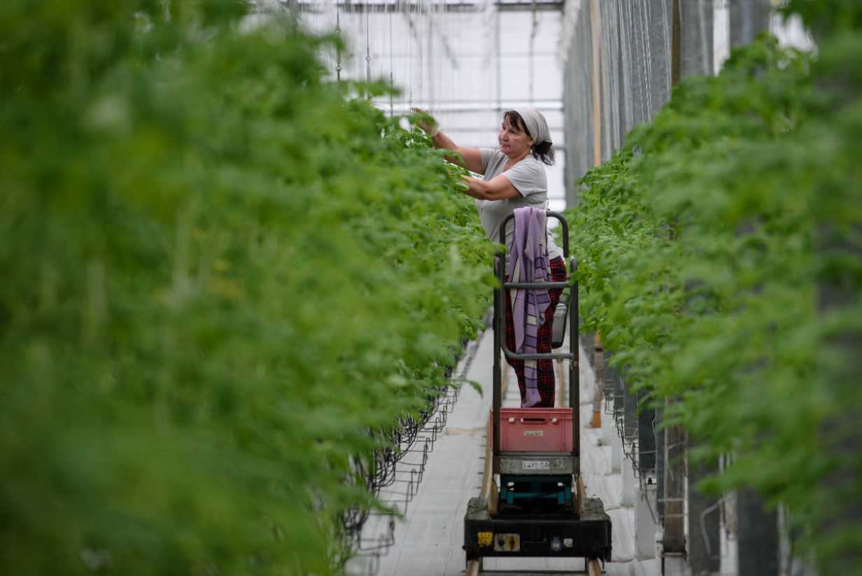 Илья Московец / URA.RU