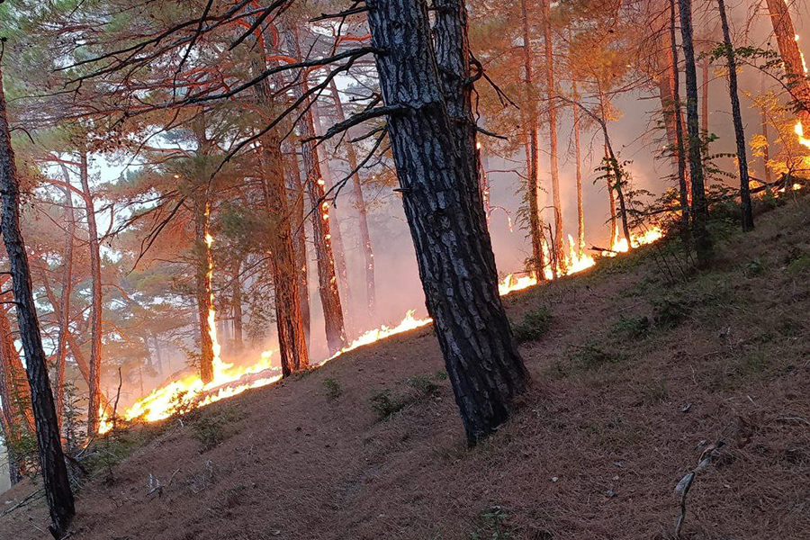 Фото: opershtab23 / Telegram