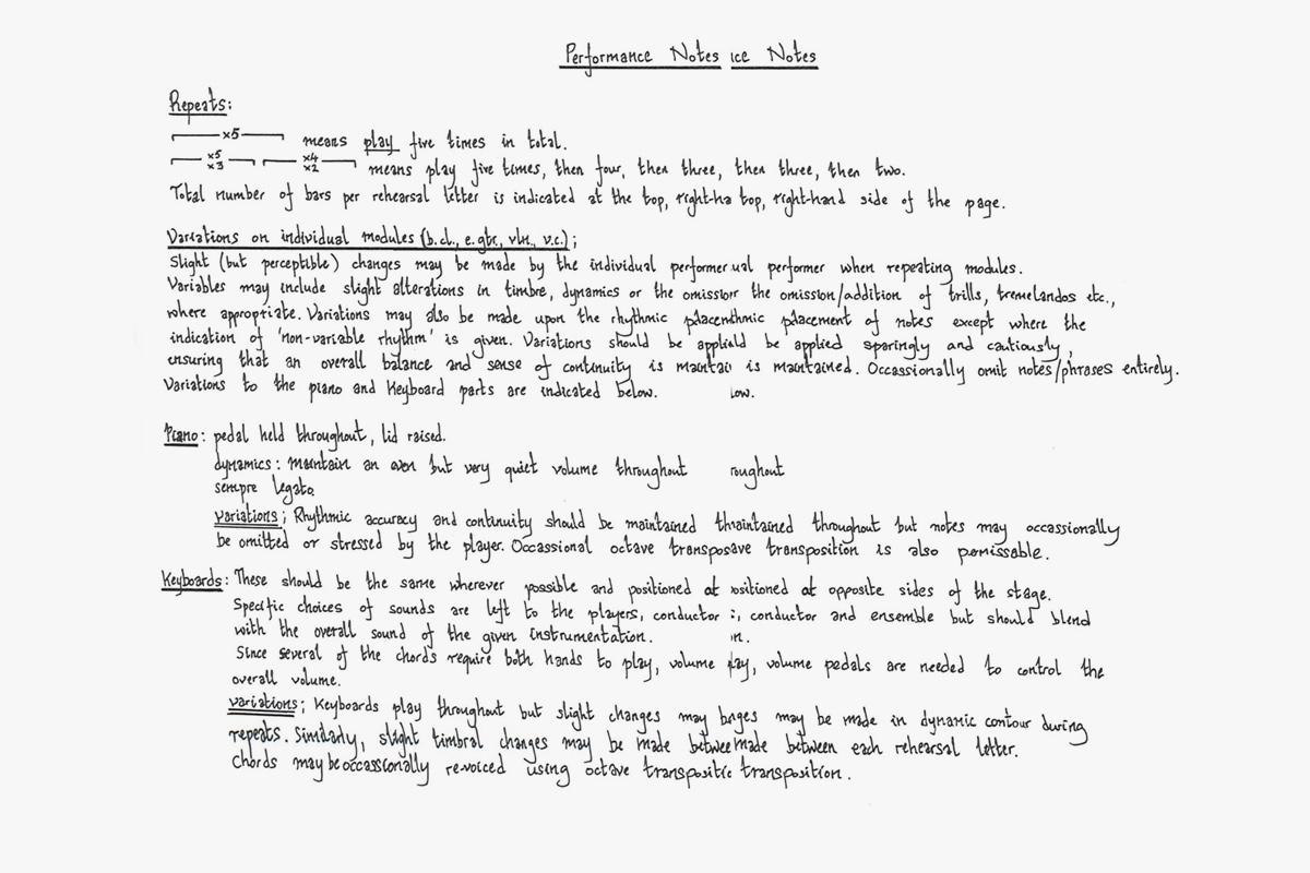 Заметки к пьесе &laquo;Repetitions in Extended Time&raquo;