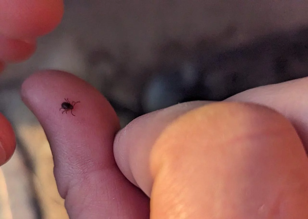 РБК Приморье