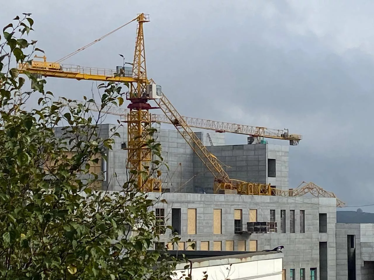 РБК Приморье