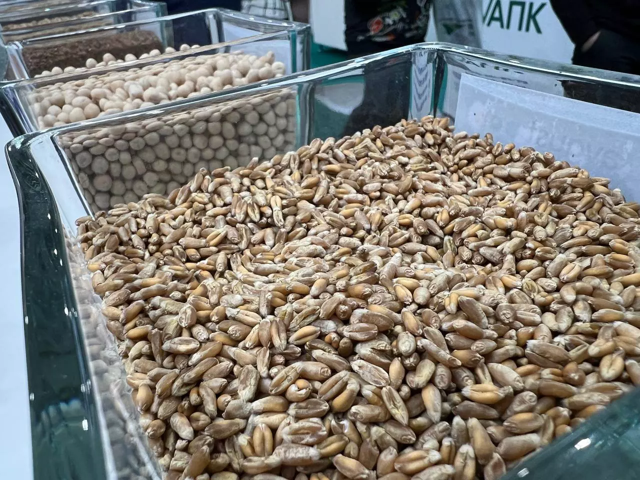 РБК Татарстан