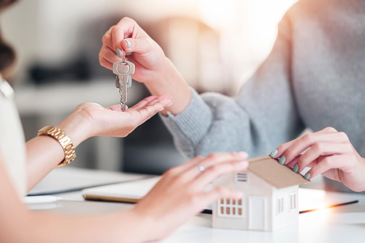 Фото: nampix / Shutterstock / FOTODOM 