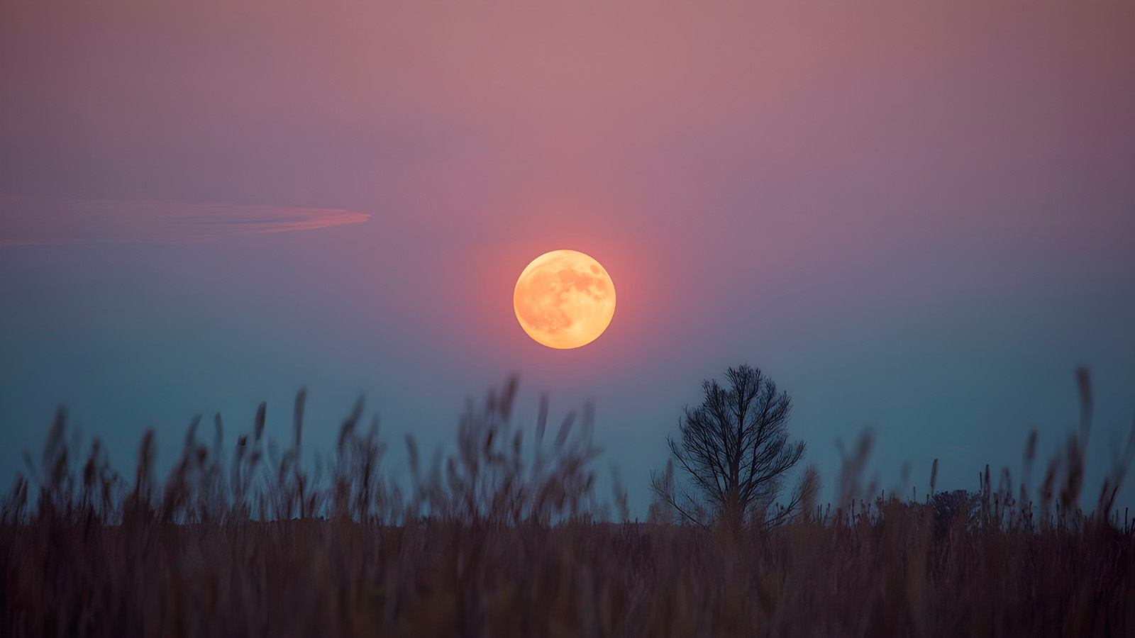 В мае россияне смогут наблюдать микролуние. Что это такое