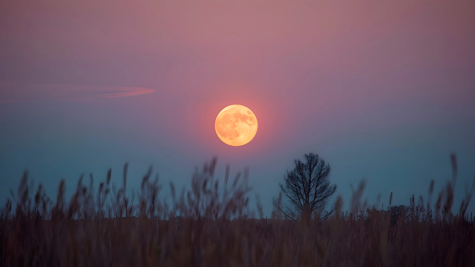 В мае россияне смогут наблюдать микролуние. Что это такое