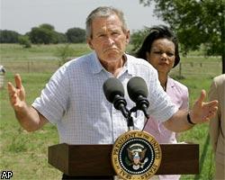 Дж.Буш: США не дрогнут и не выйдут из Ирака