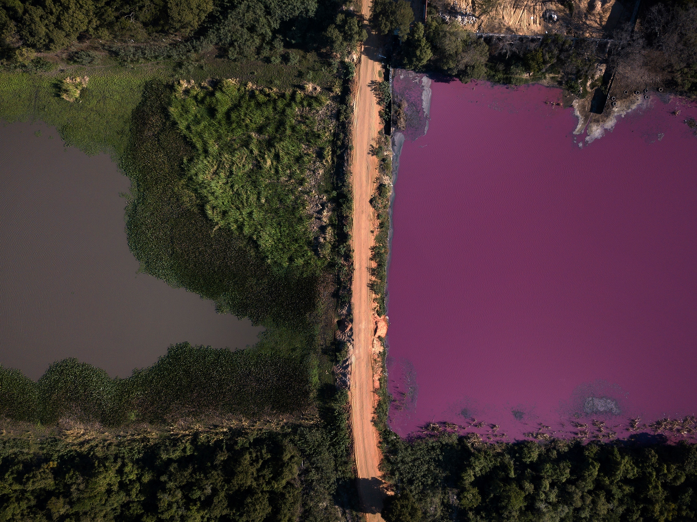 5 августа. Лимпио, Парагвай. Дорога отделяет лагуну Серро (справа). Рядом с лагуной находится кожевенный завод. По словам специалистов, цвет воды обусловлен наличием тяжелых металлов, таких как хром, которые обычно используются в кожевенном производстве