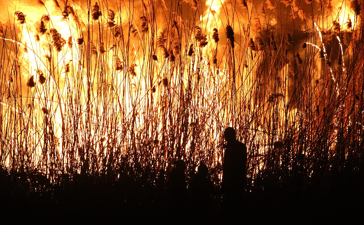 Алексей Павлишак / ТАСС