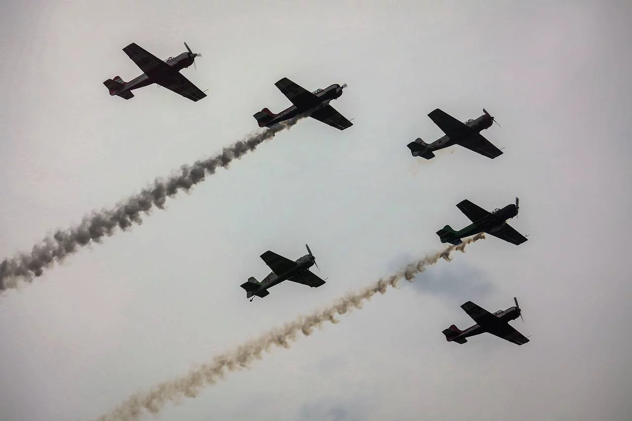 Ростислав Нетисов / nsknews.info