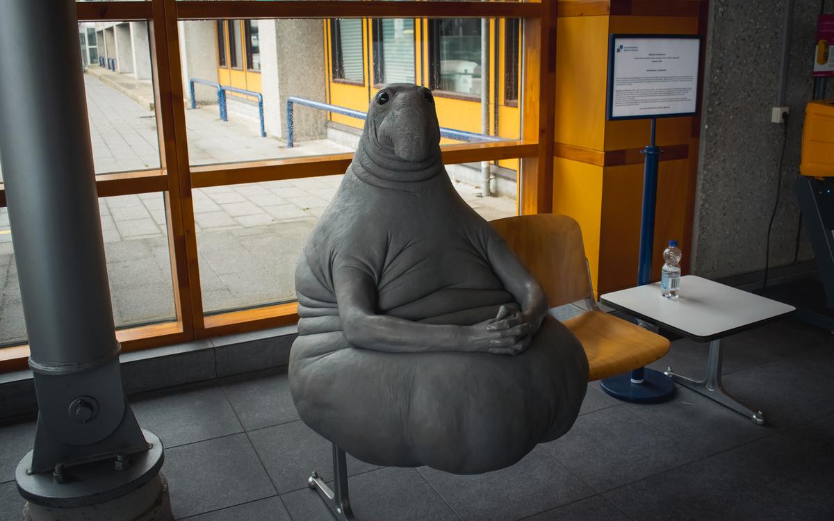 Фото: Shutterstock