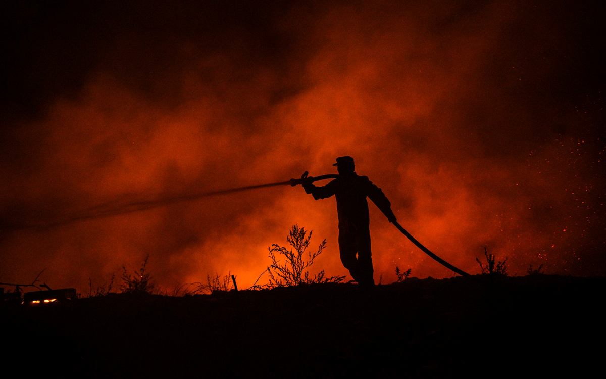 СМИ сообщили о гибели двух рабочих при тушении лесных пожаров в Турции