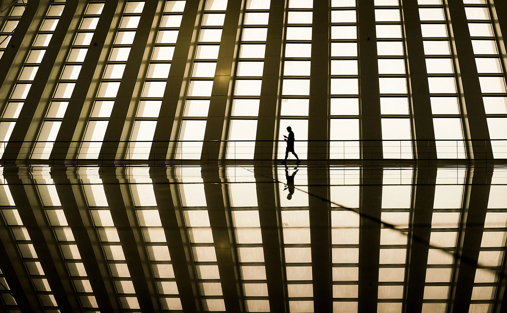 Фото: Lintao Zhang / Getty Images