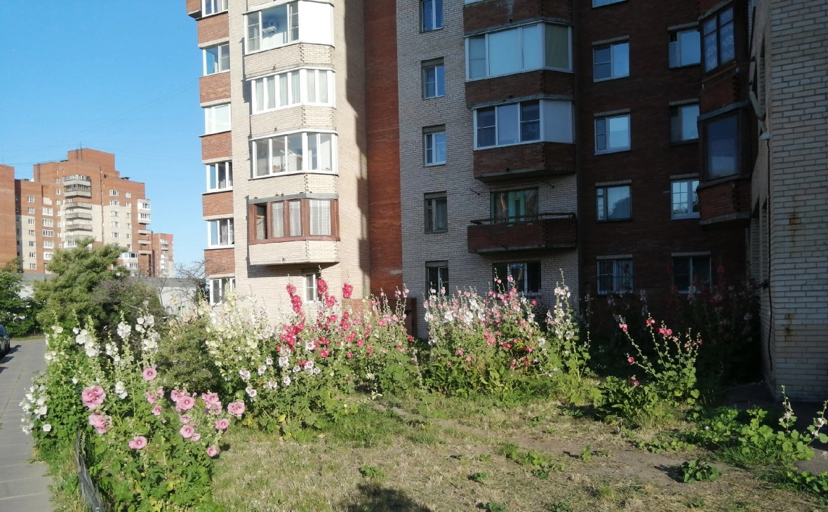 РБК Черноземье