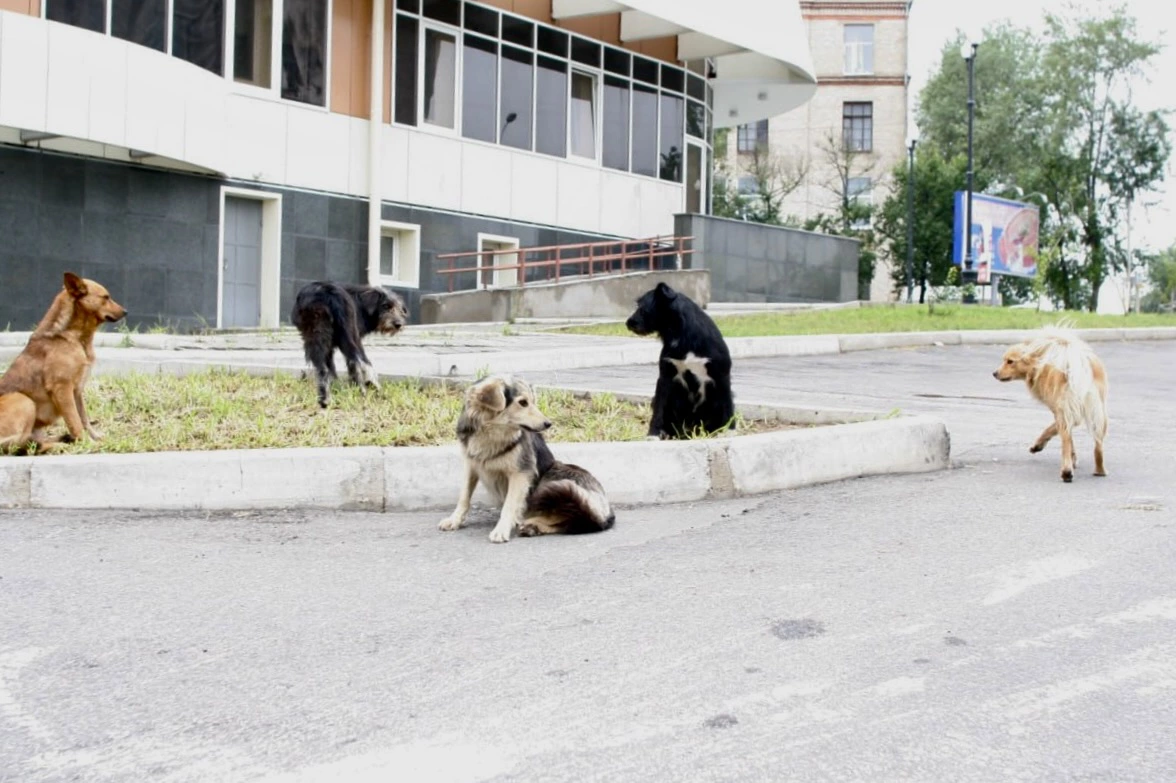 РБК Приморье