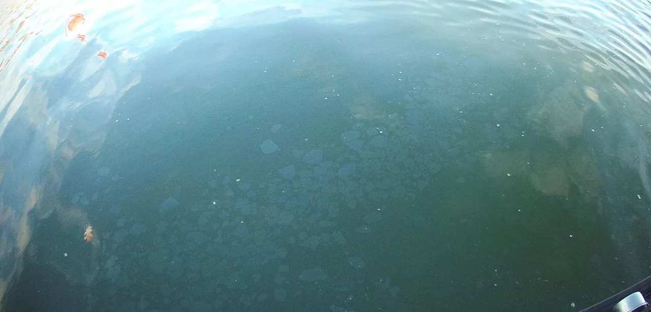 Северо-Западная транспортная прокуратура