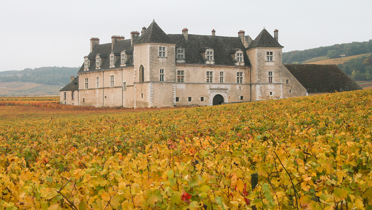 Хип-хоп в 900-летнем замке: фестиваль вина в Бургундии