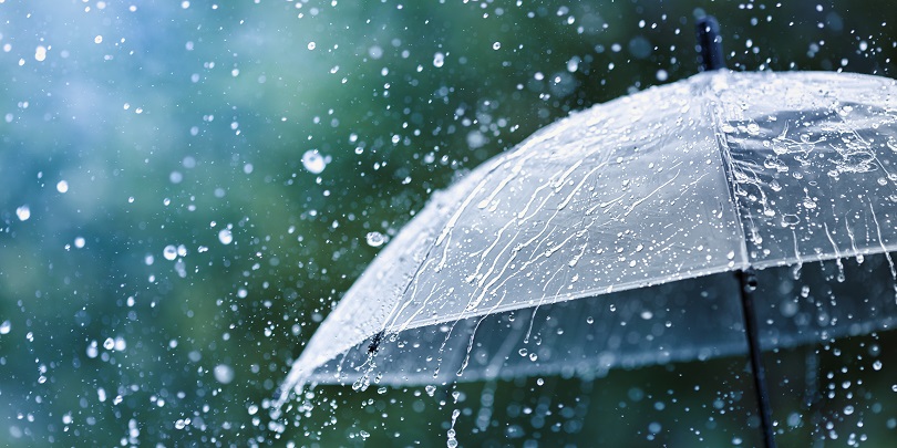 Фото: Shutterstock