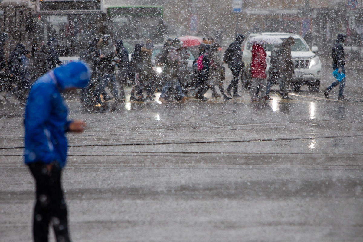 Александр Подгорчук