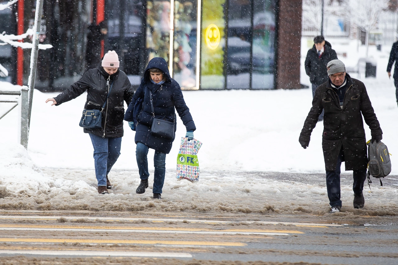 Александр Подгорчук