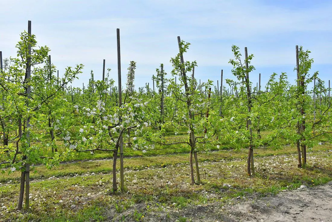 минсельхоз КО